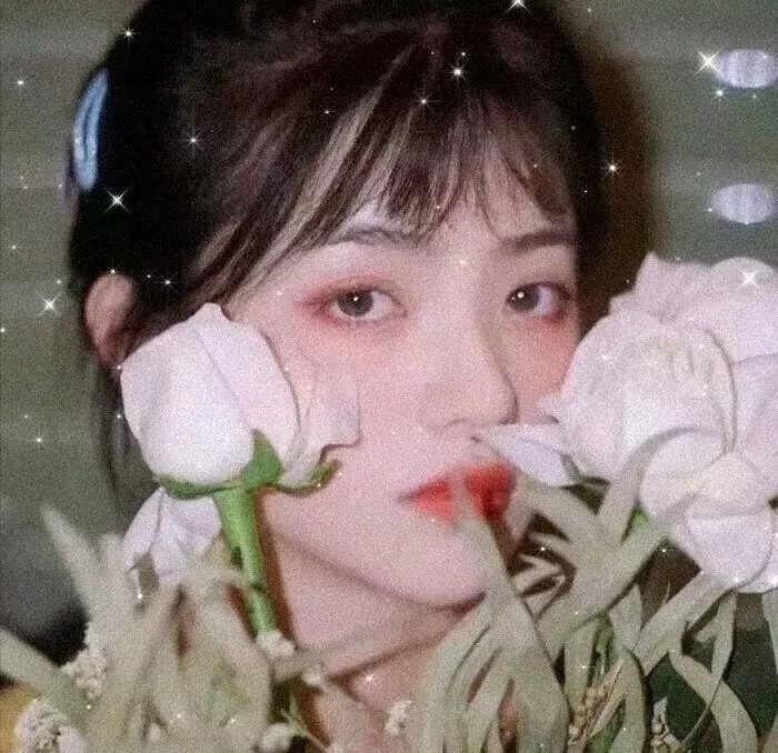 在中国他们吃狗